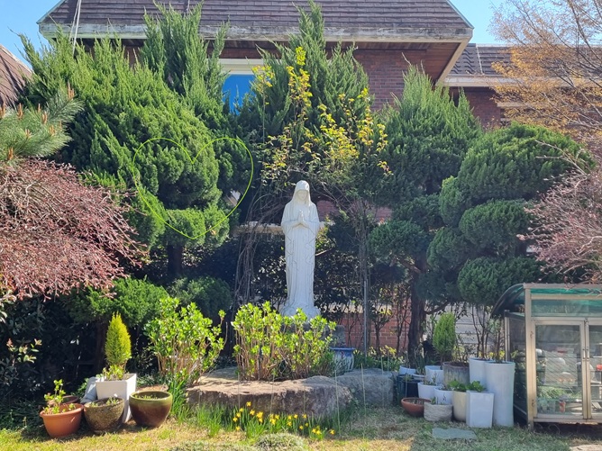 목포 경동성당 성모동산