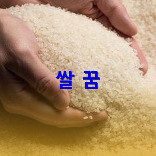 경기도-여주-쌀을-두-손으로-가득-들어보이는-모습
