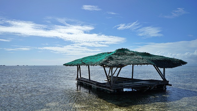 긴급여권 발급 방법