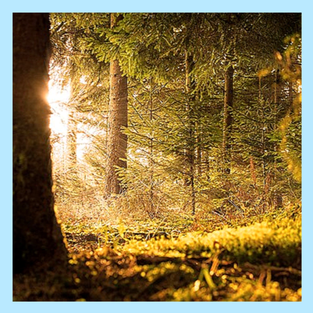 수험생-응원-격려-문구