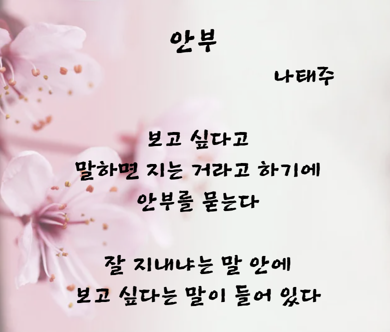 안부 나태주