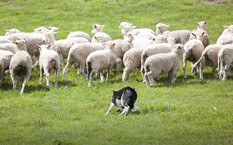 가을 여행하기 좋은 곳