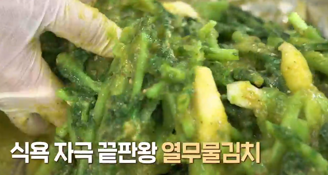 열무물김치담그는법
