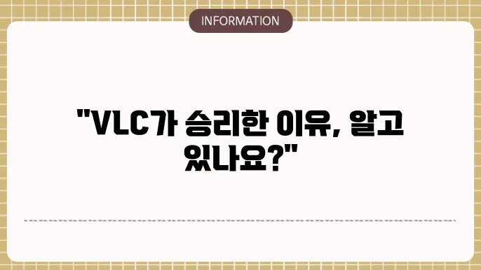 VLC 미디어 플레이어 세 번째