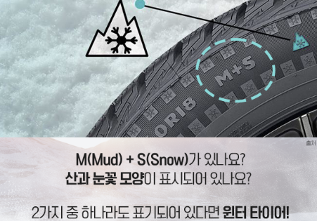 스노우-체인-추천