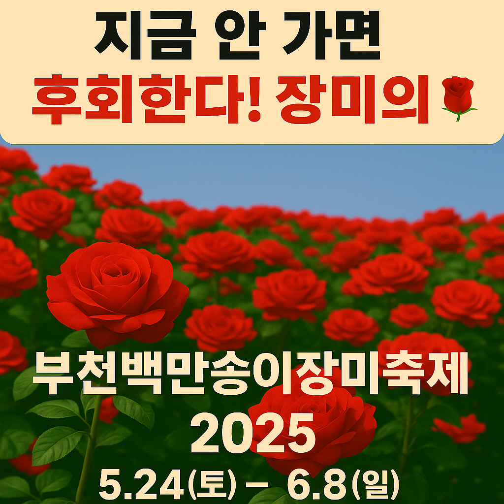 2025 부천백만송이장미축제 홍보 썸네일 &ndash; 붉은 장미밭 배경 위에 &ldquo;지금 안 가면 후회한다! 장미의 🌹&rdquo; 문구와 축제 일정 정보가 중앙에 배치된 포스터