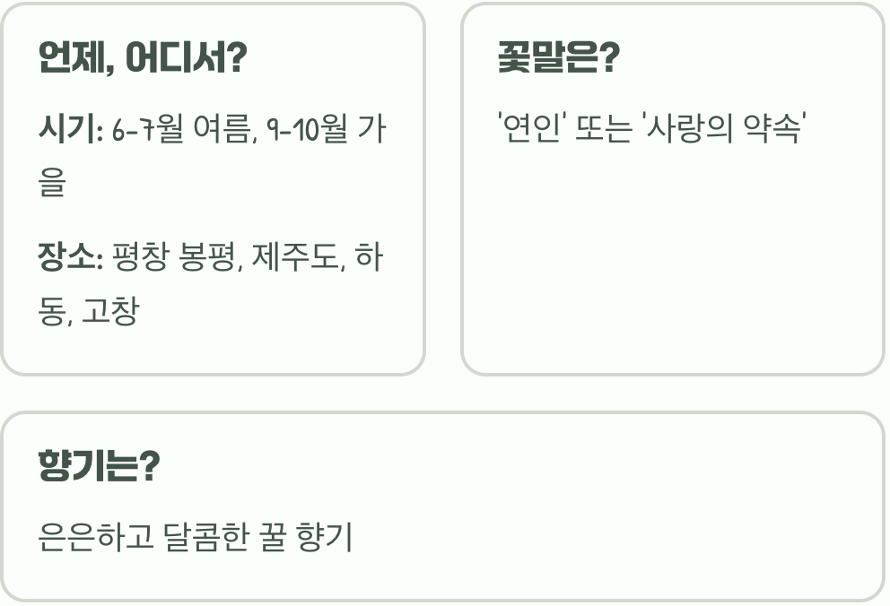메밀꽃은 왜 하필 밤에 더 아름답다고 할까? (소설과 과학적 이유)