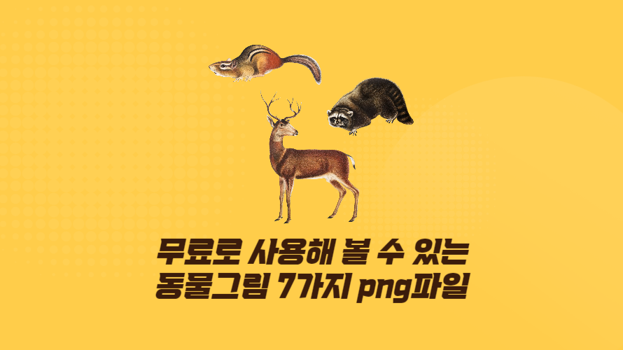 무료로 사용해 볼 수 있는 동물그림 7가지 png파일. 곰, 다람쥐, 너구리, 사슴, 여우, 청설모