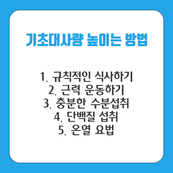 기초대사량 높이는 방법