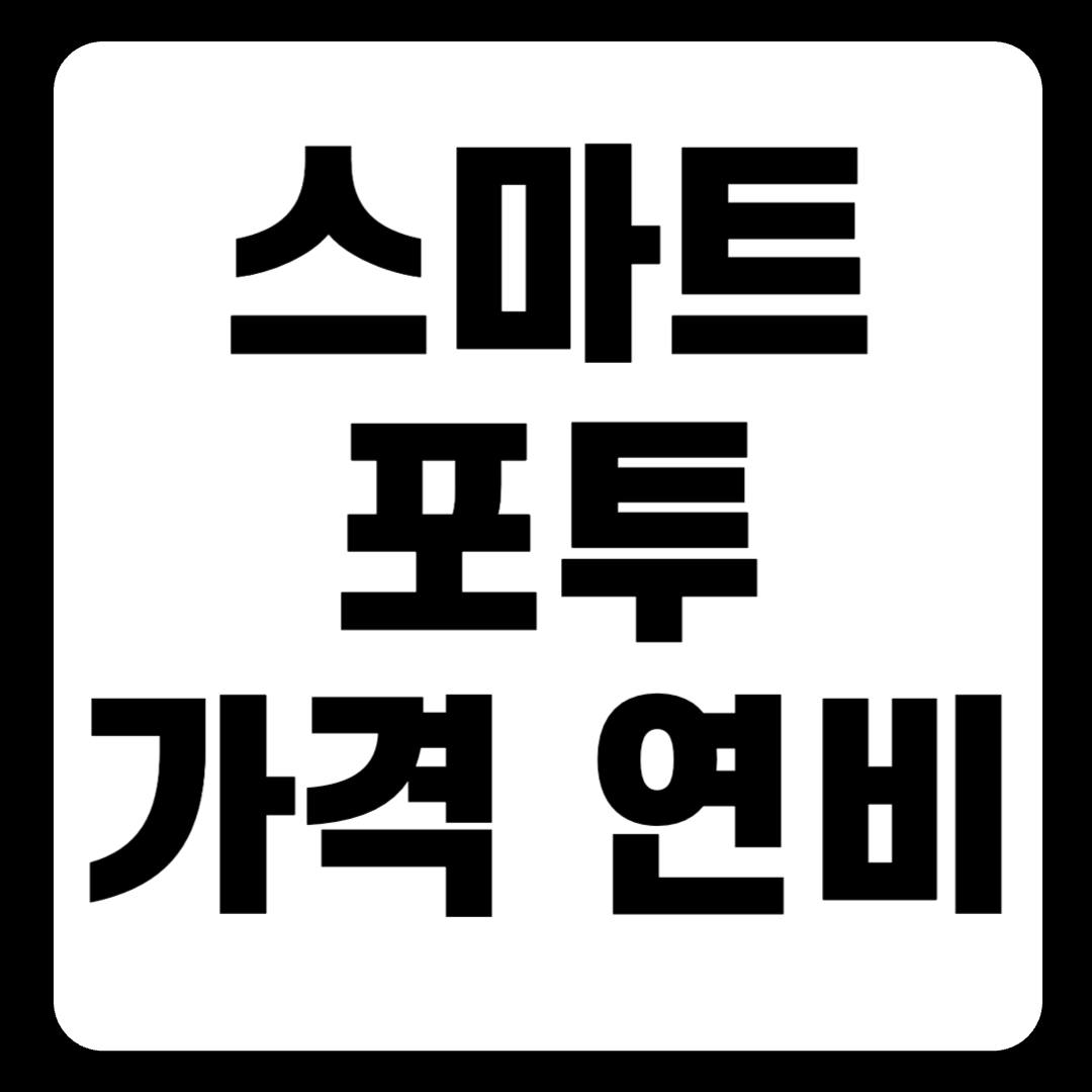 스마트포투 가격 연비 전기차 중고 고속도로 한눈에 보기 (ver.2024)