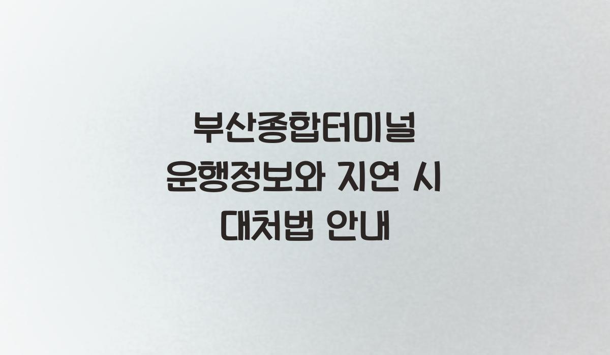 부산종합터미널 운행정보