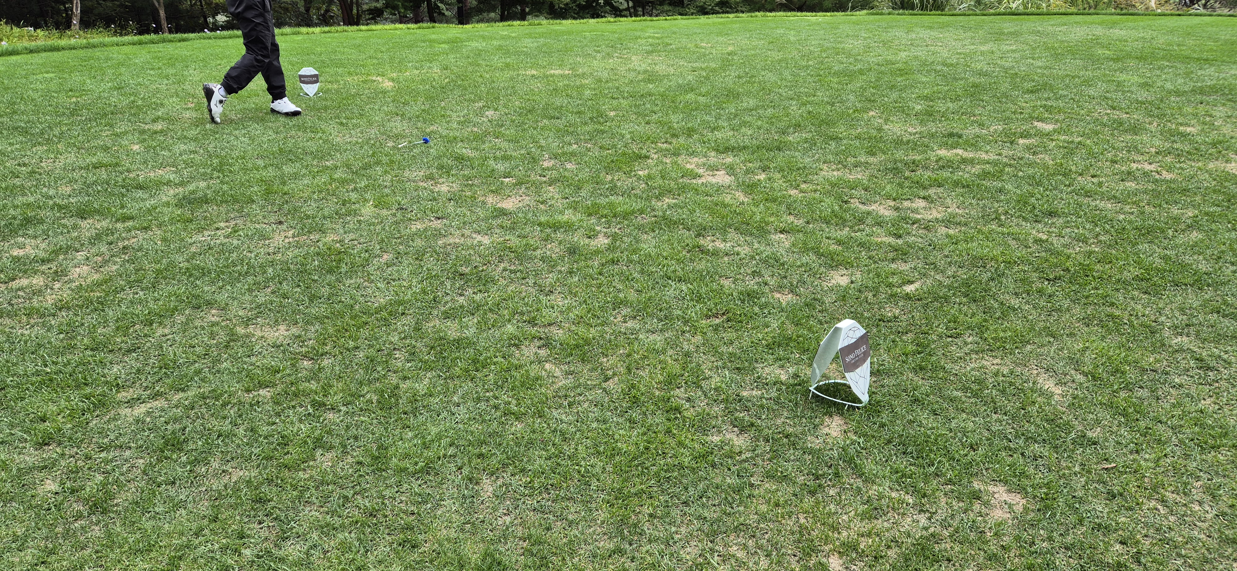 소노팰리체cc이스트