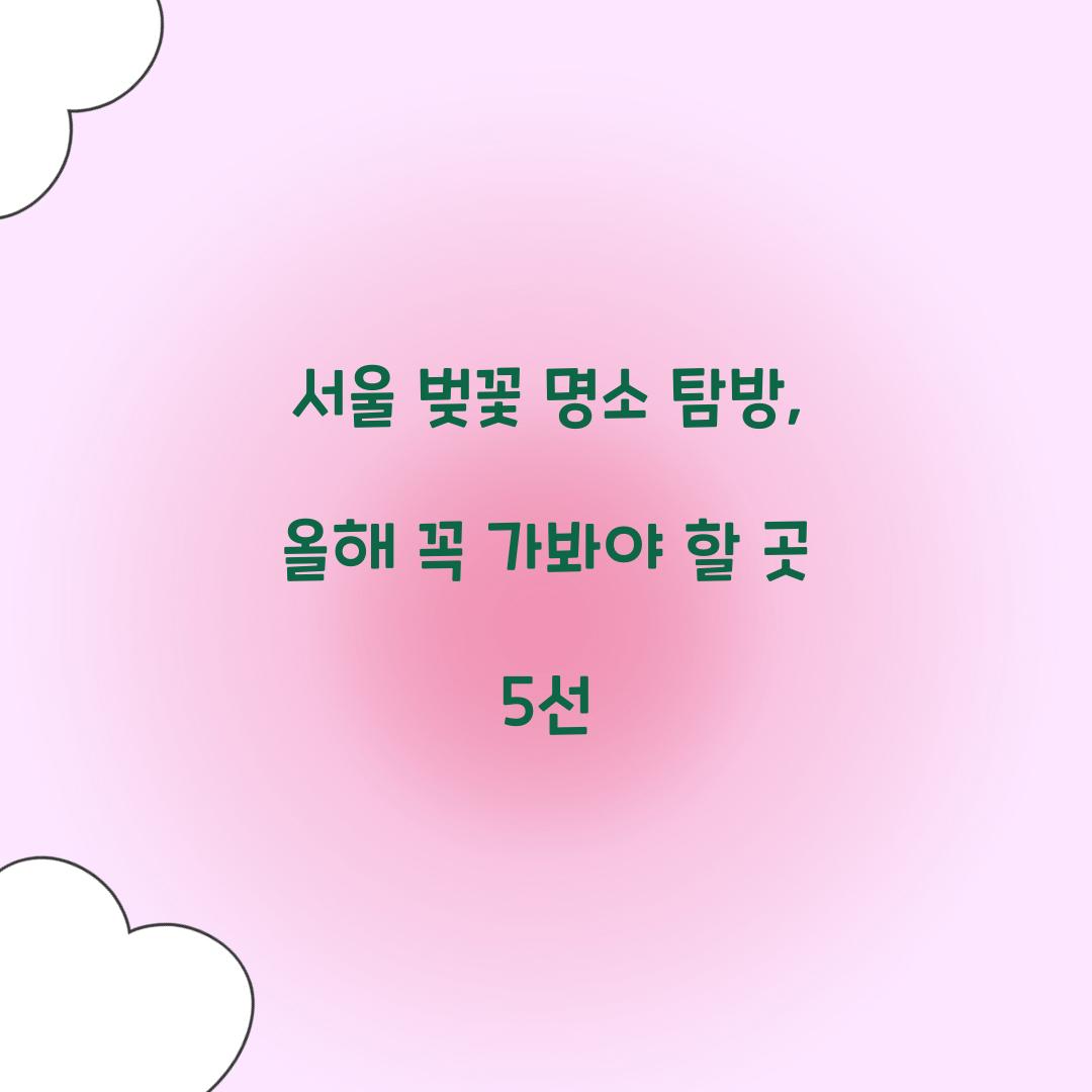 서울 벚꽃 명소