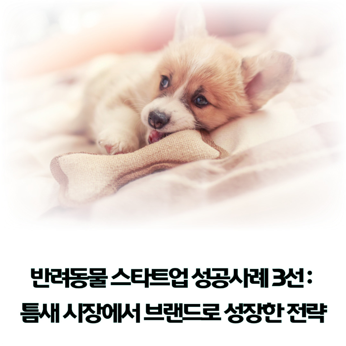 반려동물-스타트업-성공사례