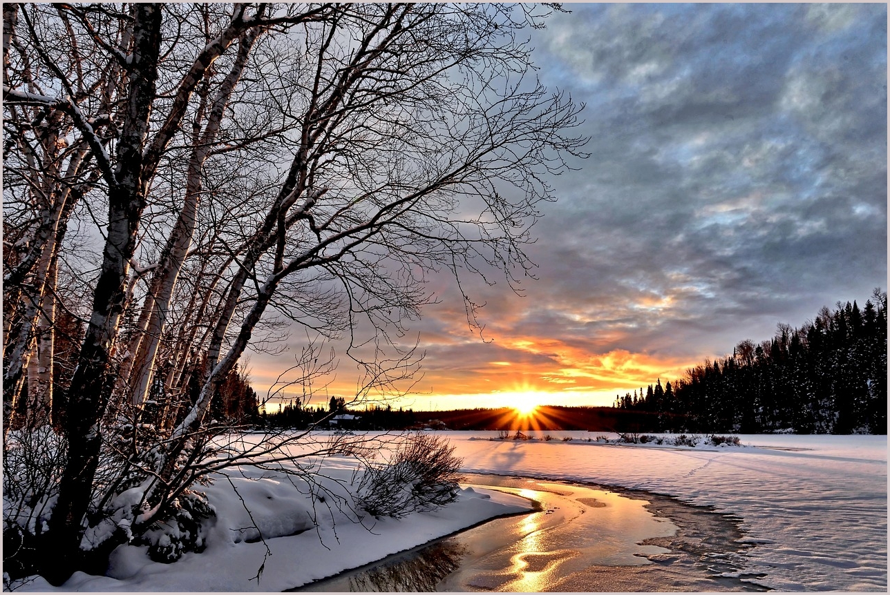 그랜저 하이브리드 가격표