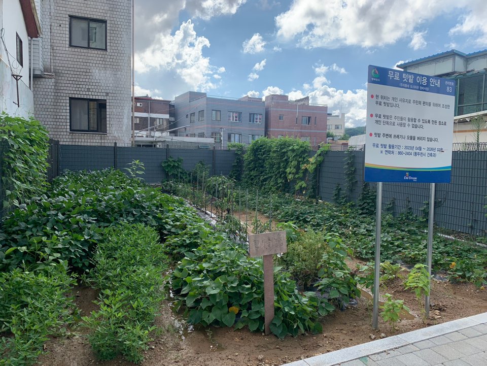 마을텃밭