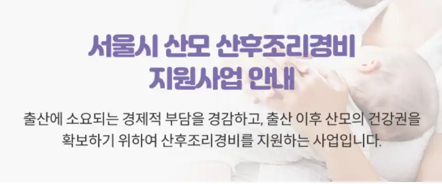 서울시 산후조리경비
