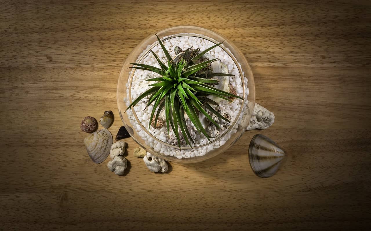 버려진 냄비로 꾸미는 아트 플랜터 화분 – 감성과 지속 가능성을 담은 정원 만들기