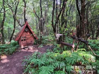 제주 곶자왈 숲길 산책 원시림 초록 힐링 여행_13