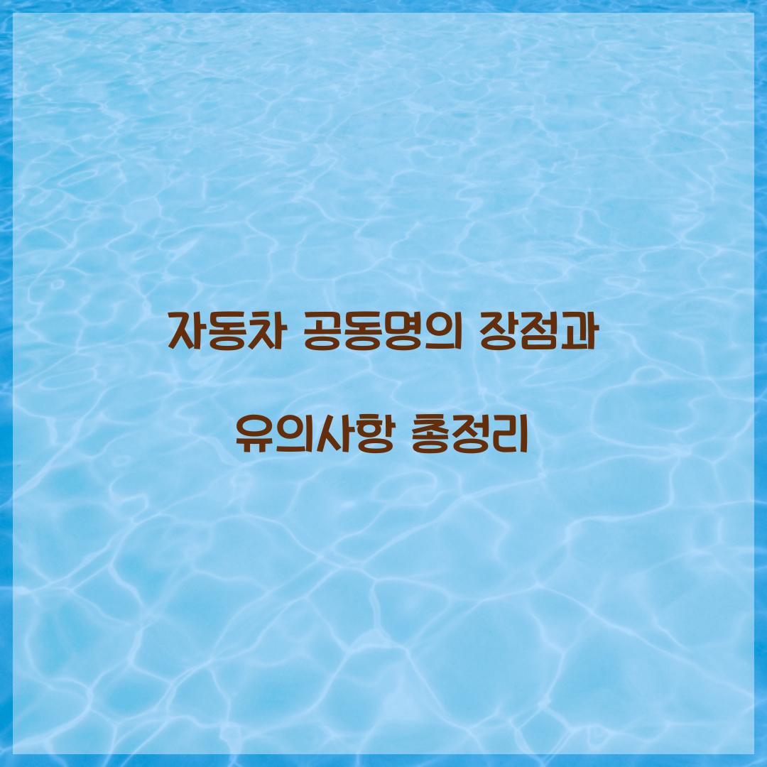 자동차 공동명의