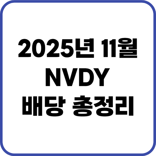 nvdy 11월 배당금