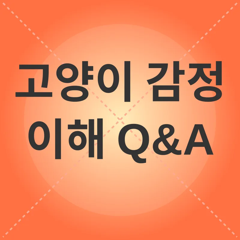 고양이 감정 이해_3