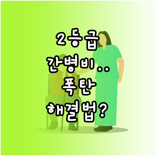 장기요양 2등급 간병인 지원 서비스 ..