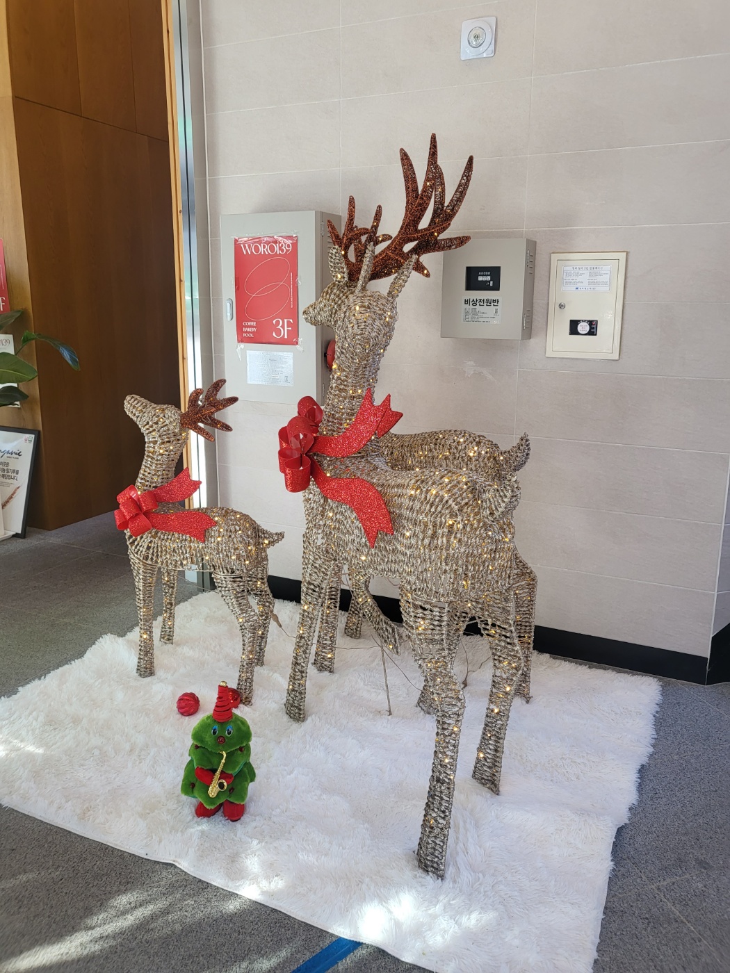 청주 월오동 카페 (월오139)