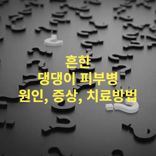 강아지 핫스팟 피부병