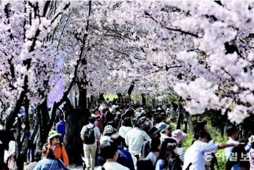 여의도 한강공원