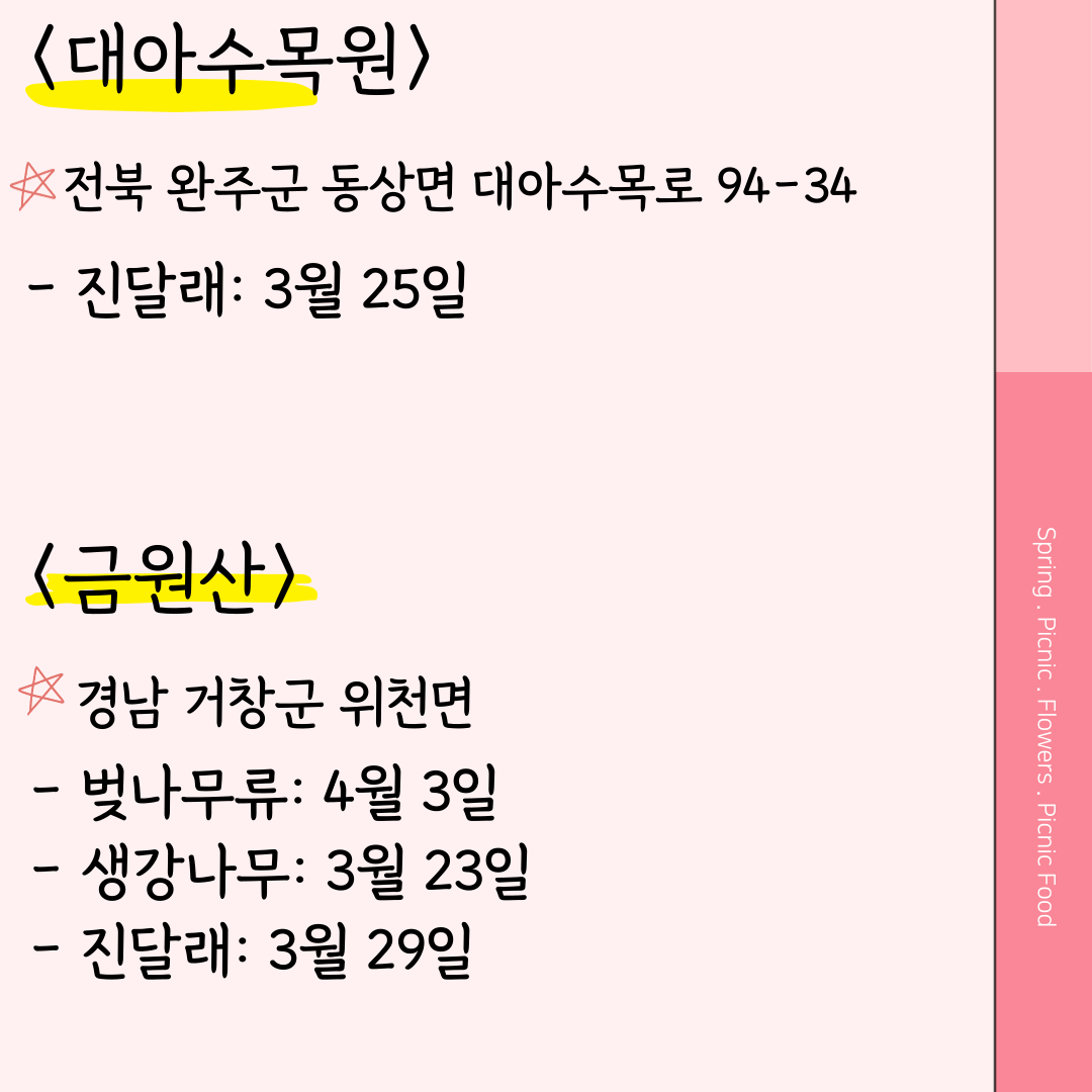대아수목원 벚꽃 금원산 벚꽃