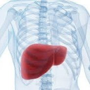 간수치의 정상범위