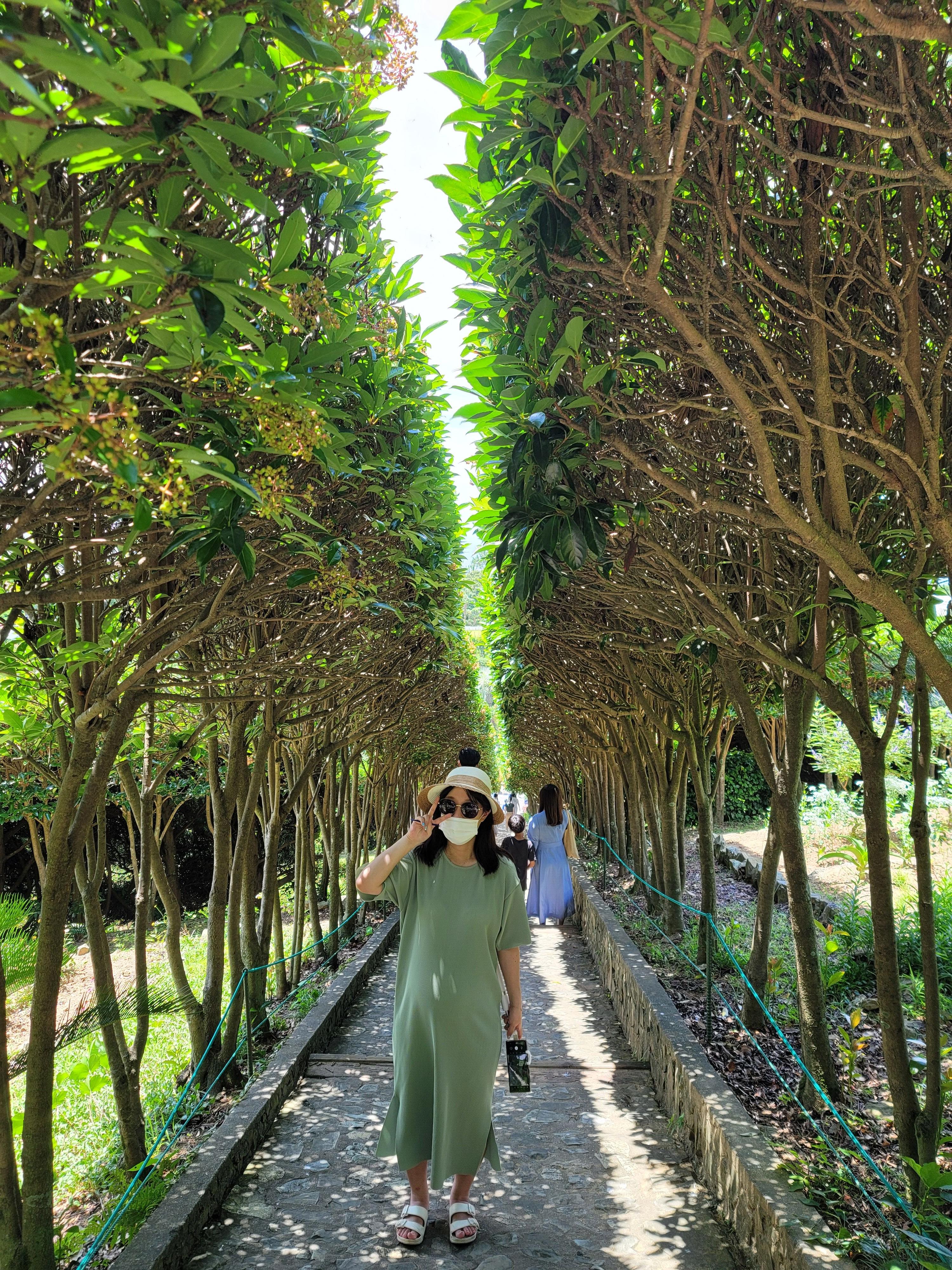 여름 휴가 보타니아