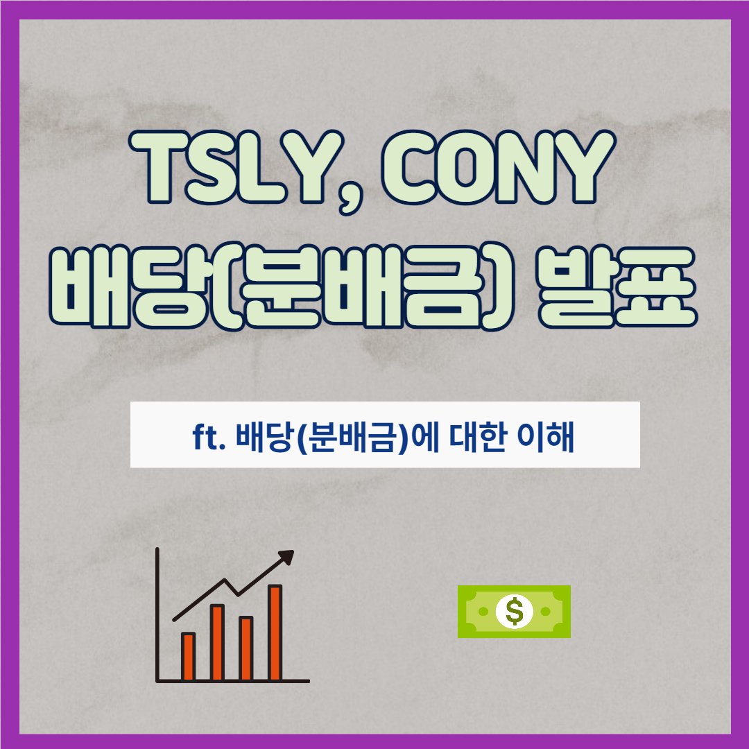 TSLY&#44; CONY 배당(분배금)