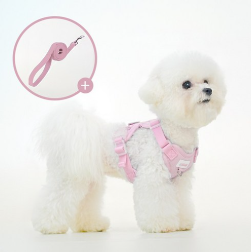 강아지 가슴 줄 순위 TOP 5