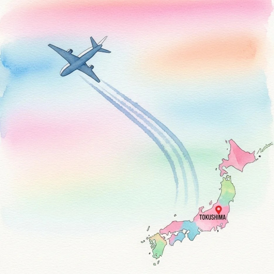 도쿠시마로 향하는 항공편