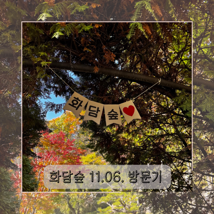 화담숲 11월 6일자 현황