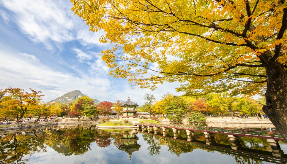 가을단풍드라이브