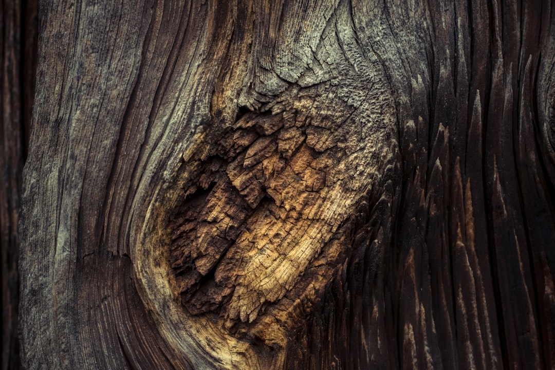 Forestry
