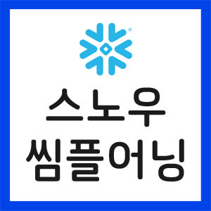 SNOW-실적