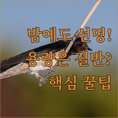 밤에도 선명한 CCTV 화질 유지하며..