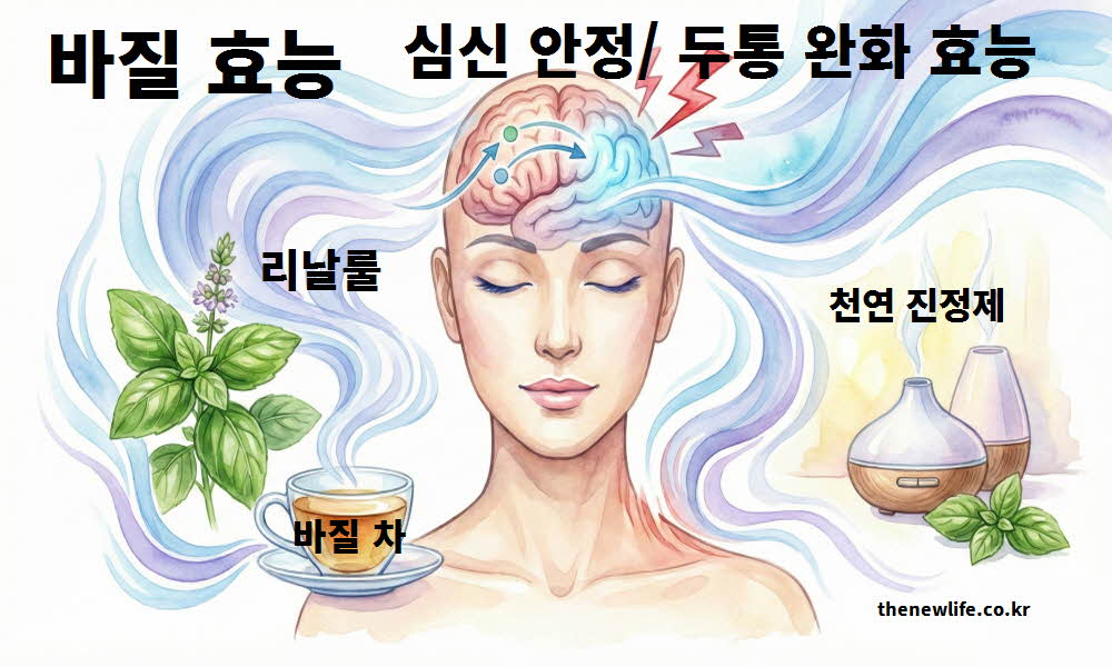 바질 효능 심신 안정 두통 완화