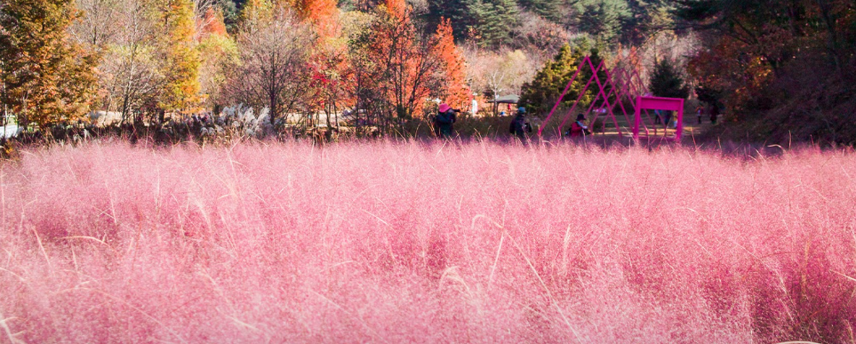 평강랜드 평강식물원