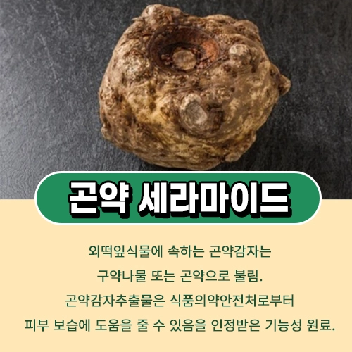 곤약 세라마이드