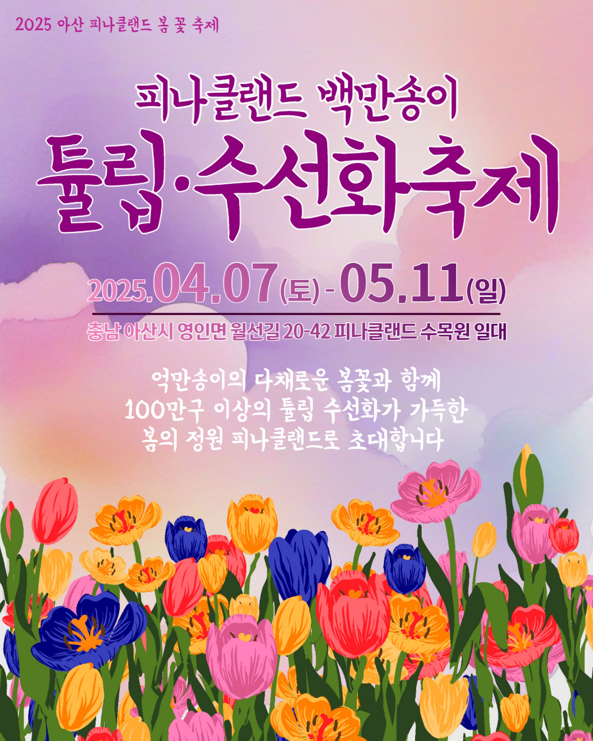 아산 피나클랜드 튤립·수선화 축제, 봄날 꼭 가봐야 할 힐링 명소!