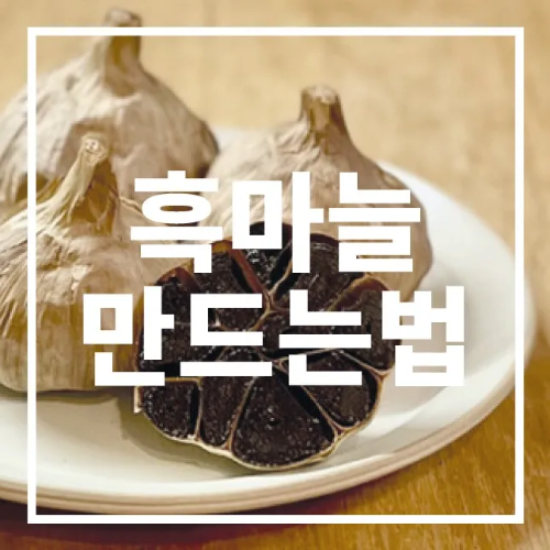 흑마늘 만드는법