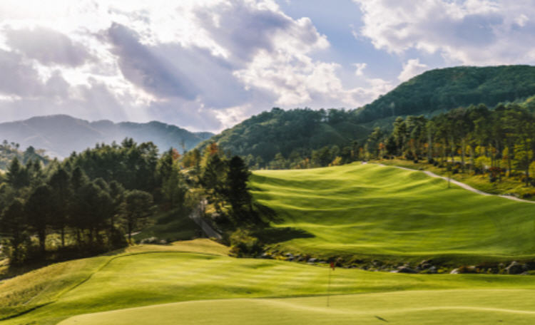 세이지우드의 전경