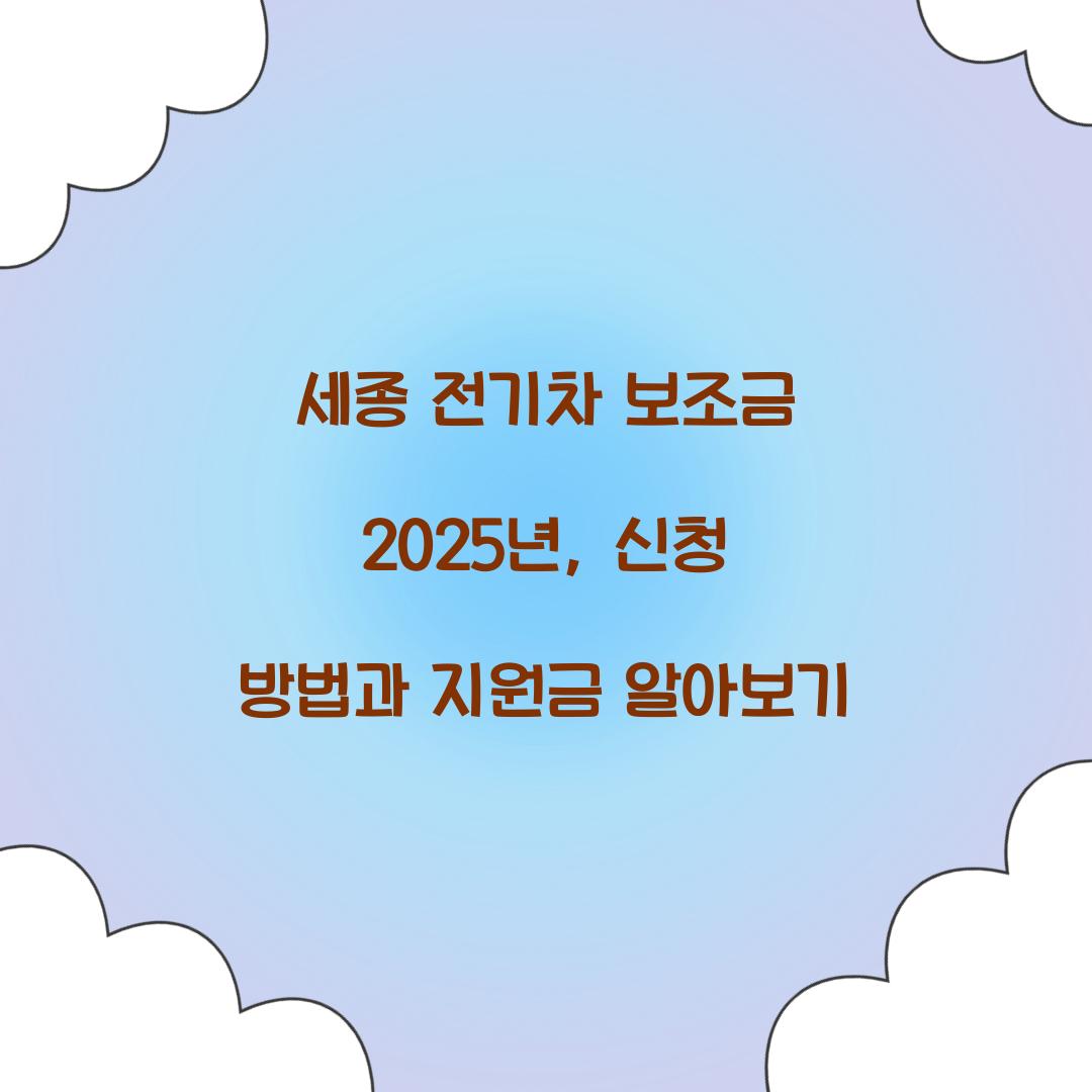 세종 전기차 보조금