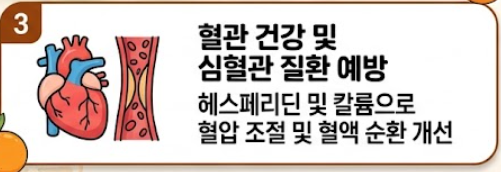 오렌지 효능
