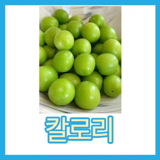 개복숭아 칼로리